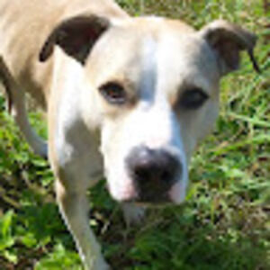 Meet your Posher, Jaclyn